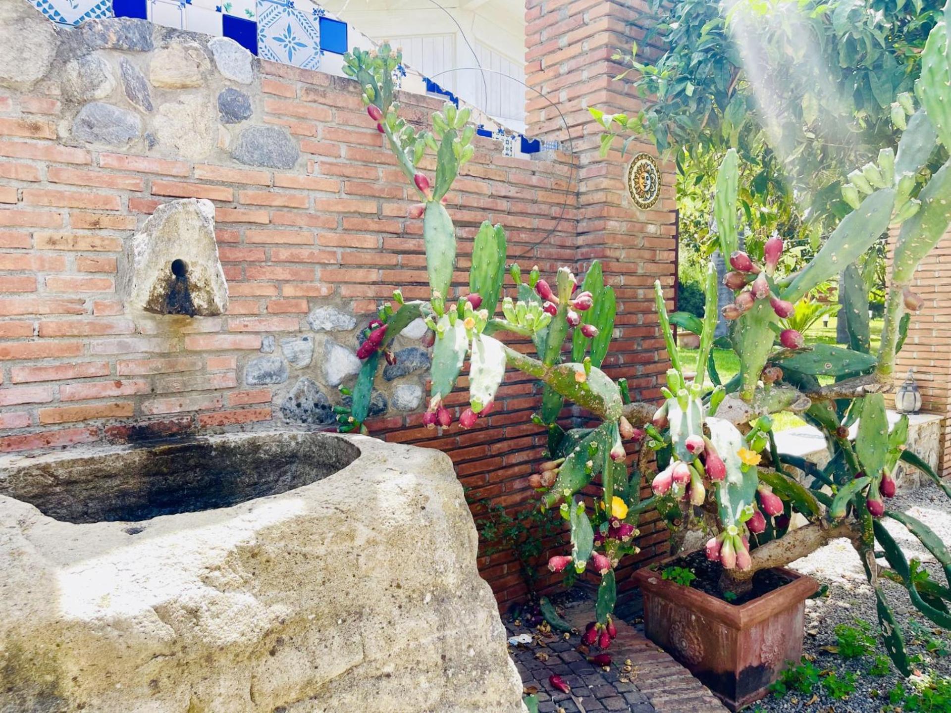 Bed and Breakfast Borgo Camicia In Barcellona Pozzo di Gotto Exterior foto
