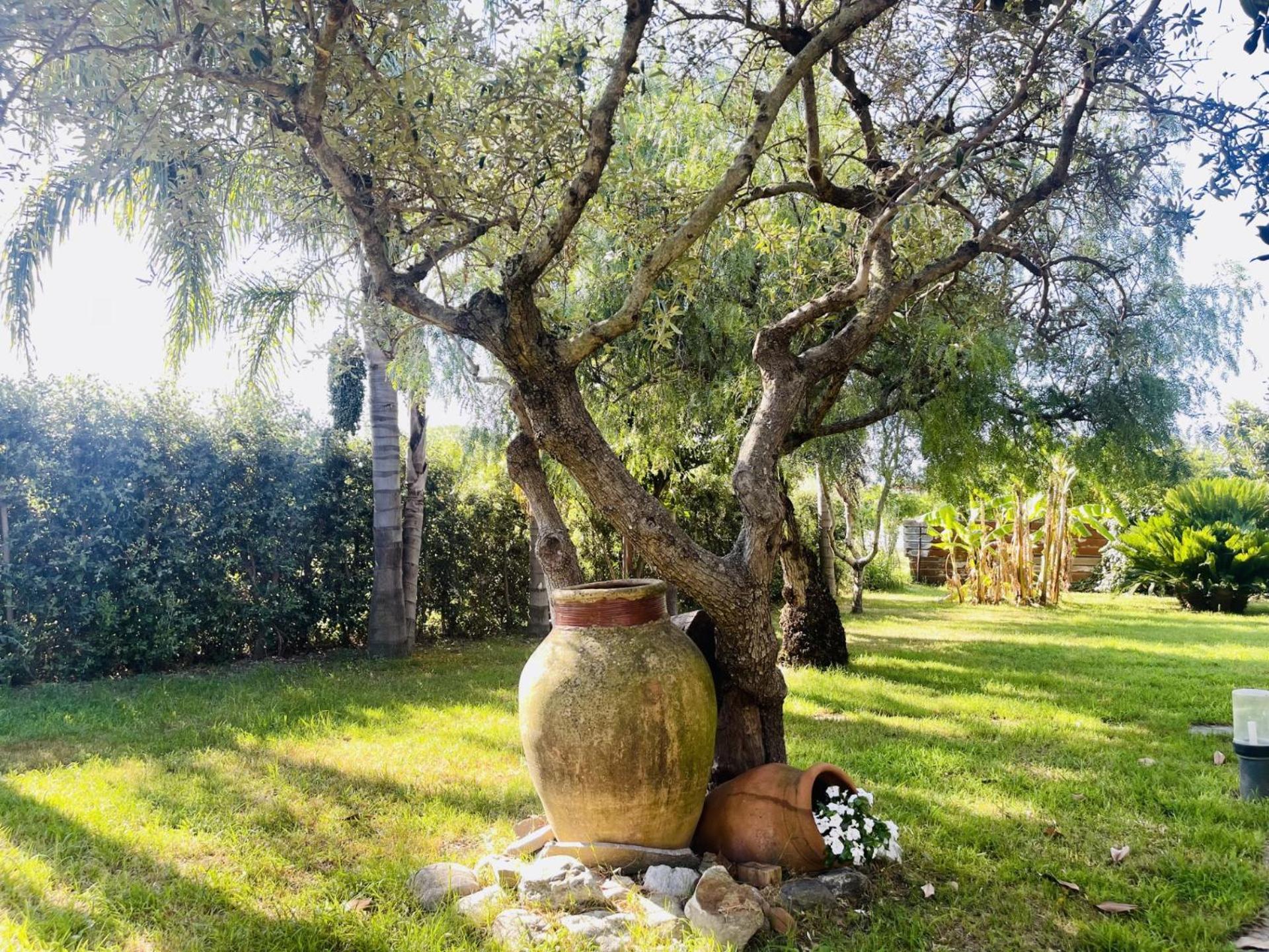 Bed and Breakfast Borgo Camicia In Barcellona Pozzo di Gotto Exterior foto